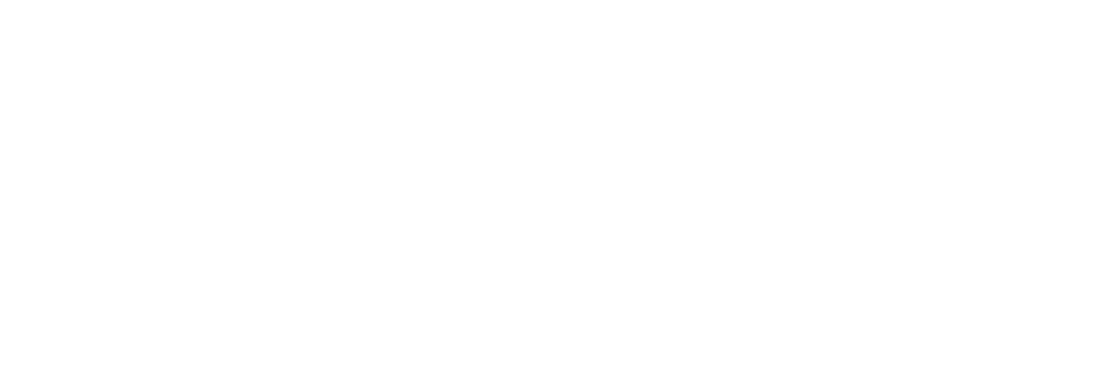 GOelegido